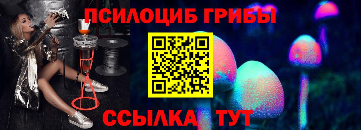 Галлюциногенные грибы MAGIC MUSHROOMS  Вход с VPN  цена   Туапсе 